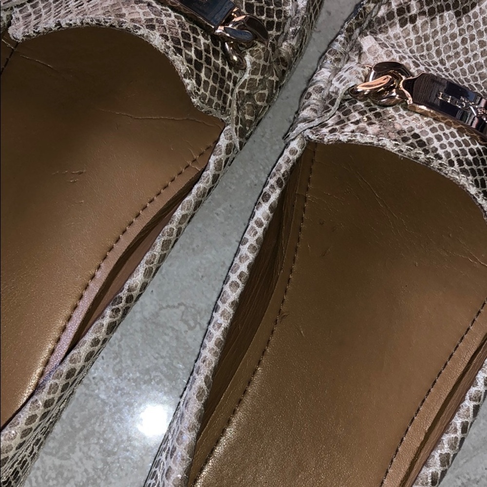 Olive Sand Printed Snake Coach Shoes - Picture 10 of 16
